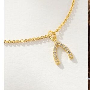 Pavé Wishbone Necklace